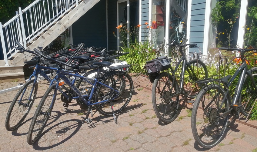 MacQueen's Bike Shop & Island Tours - Local Cycling Specialists